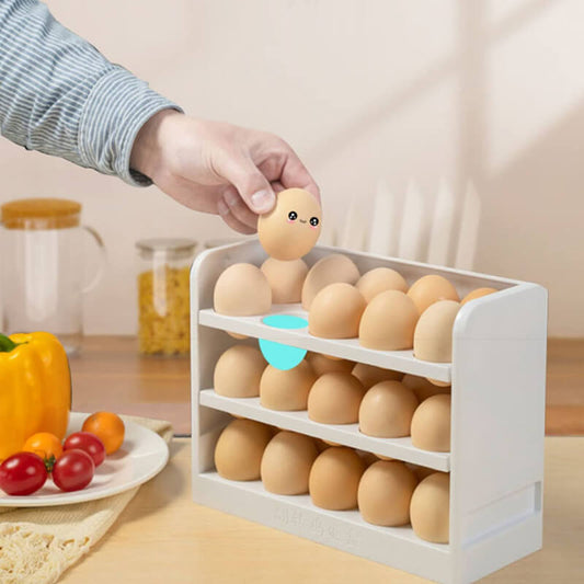 Egg Storage Container for Refrigerator Door