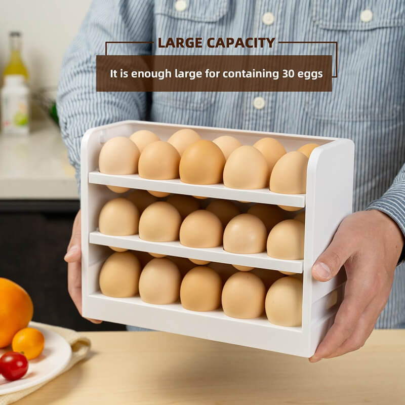 Egg Storage Container for Refrigerator Door