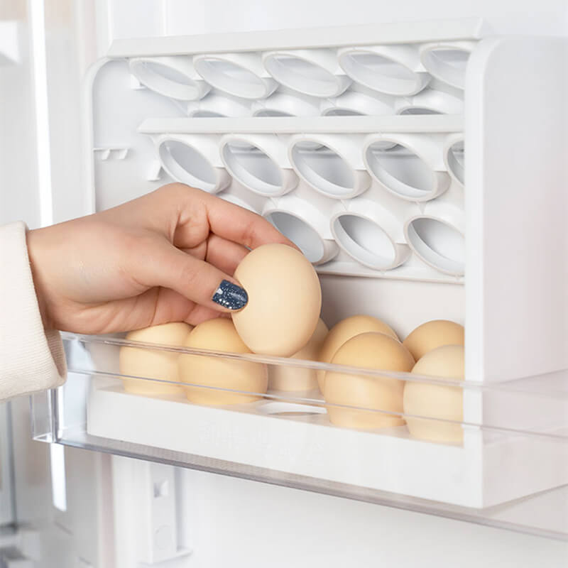 Egg Storage Container for Refrigerator Door