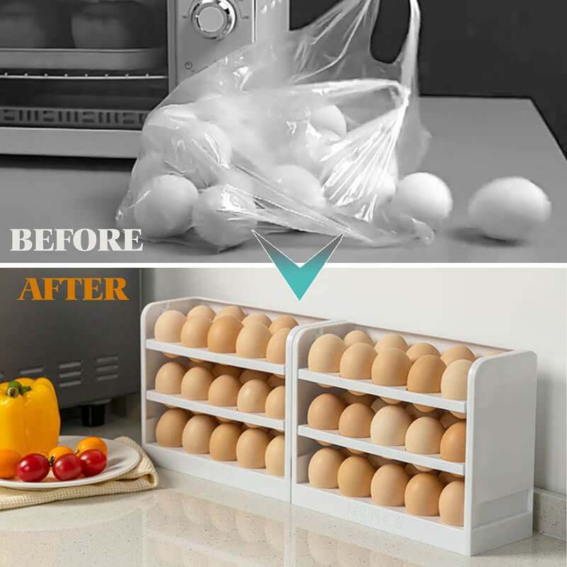 Egg Storage Container for Refrigerator Door