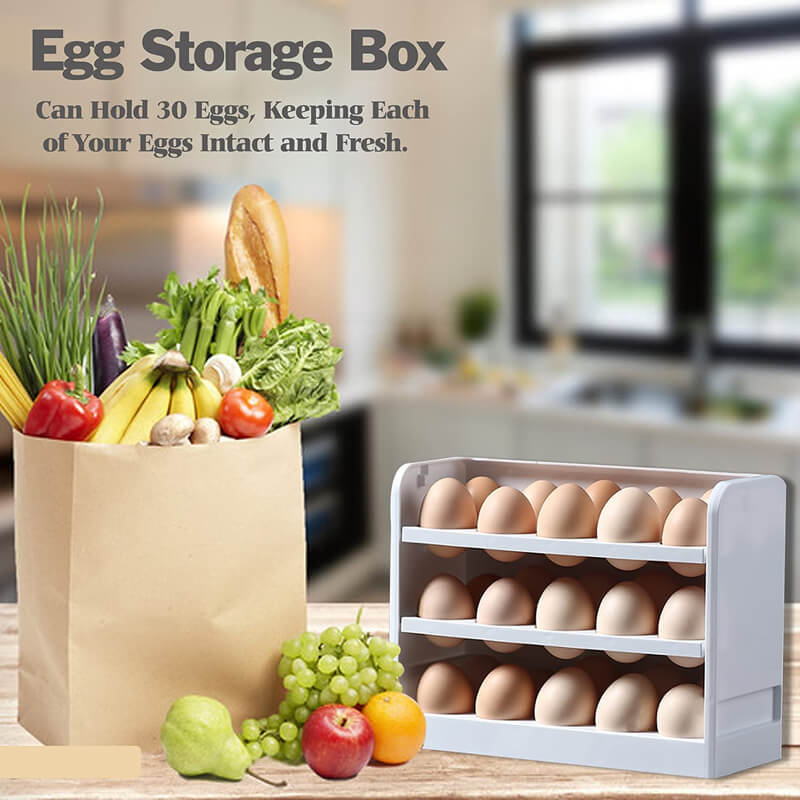 Egg Storage Container for Refrigerator Door