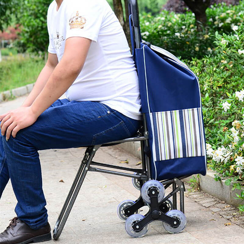 Foldable Shopping Trolley with Seat