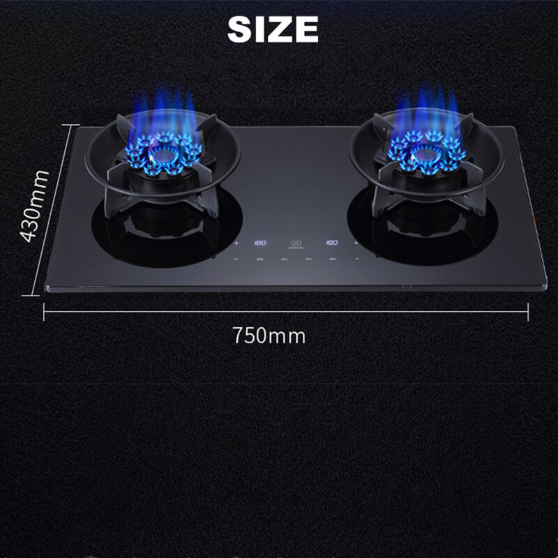 Smart Gas Stove