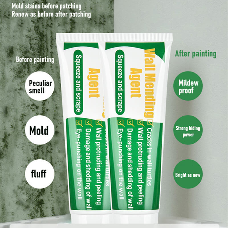 Wall Repair Paste (250g)